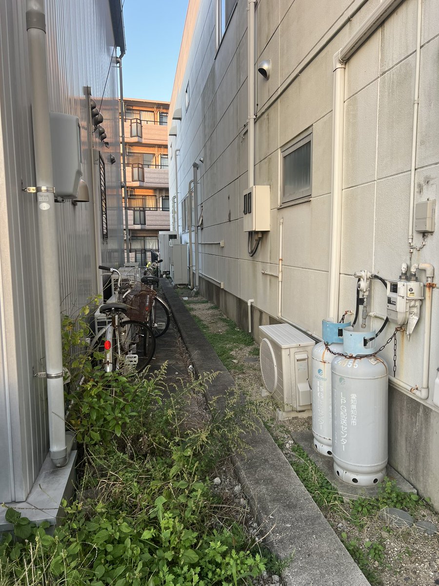NishiYuna's tweet photo. 『リンクがあなた宛てに送信されました』
というメッセージばかりでは斜陽に
照らされて角氷のように溶けてしまう😳💡
#fukdapolice https://t.co/JV8DQnDq4X
