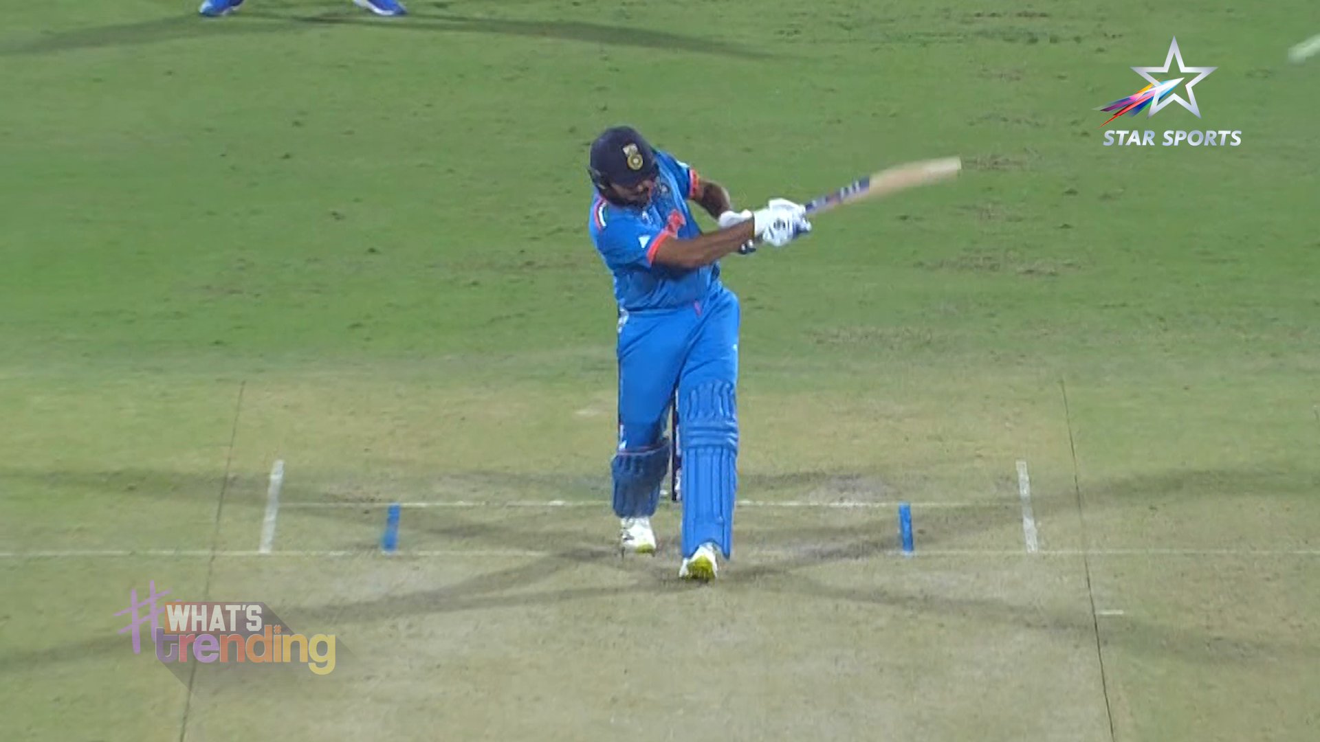 ICC Cricket Bat - Star Sports Edition