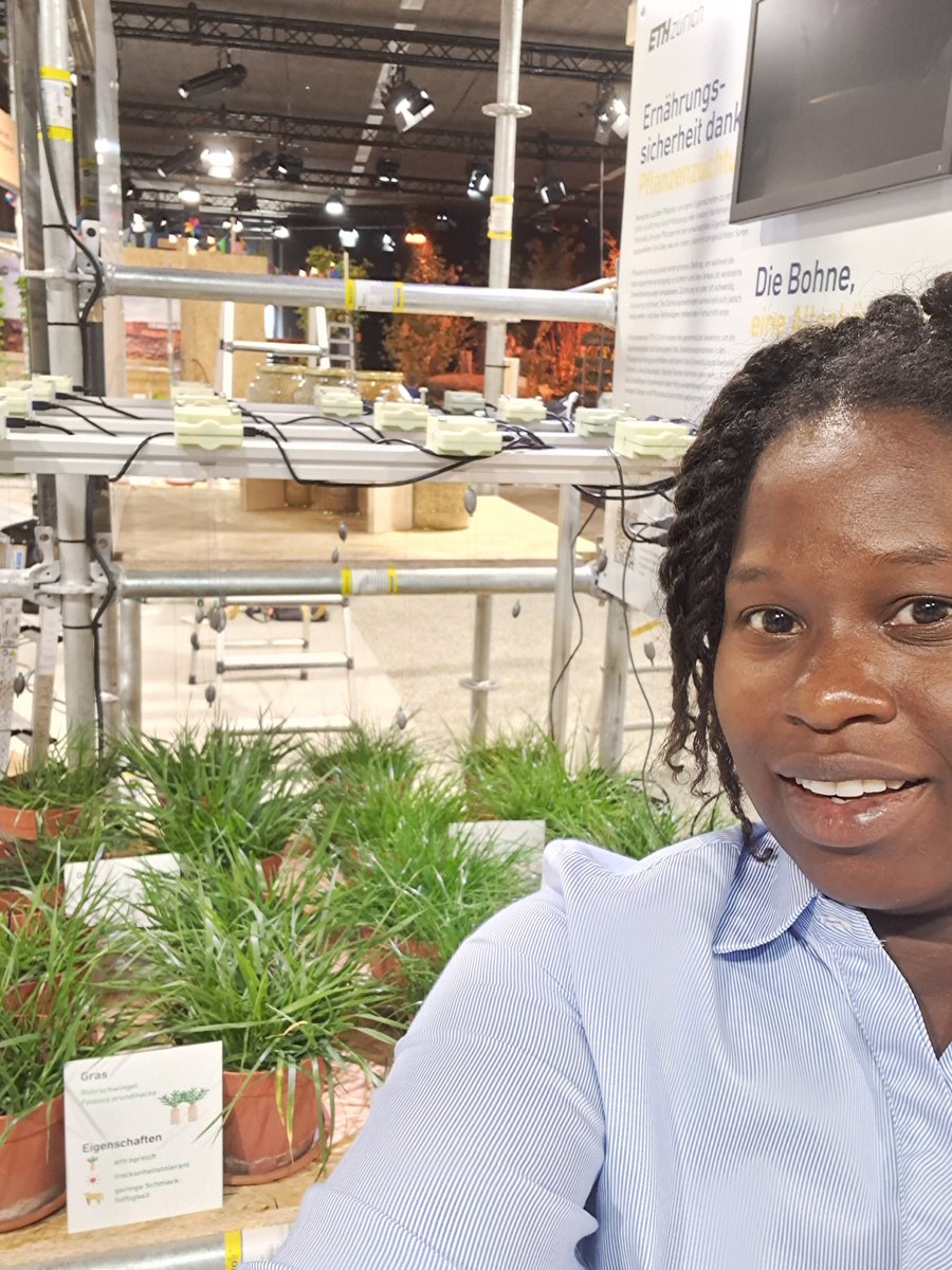 Reah Gonzales (@reahteri) on Twitter photo Come explore our Leaf Growth tracker by <a href="/MolecPlantBreed/">Mol. Plant Breeding</a>, a powerful tool for quantifying drought tolerance in forage grasses 🌾.Discover how #olma2023 and special thanks to @ethzWFSC Come explore our Leaf Growth tracker by <a href="/MolecPlantBreed/">Mol. Plant Breeding</a>, a powerful tool for quantifying drought tolerance in forage grasses 🌾.Discover how #olma2023 and special thanks to @ethzWFSC