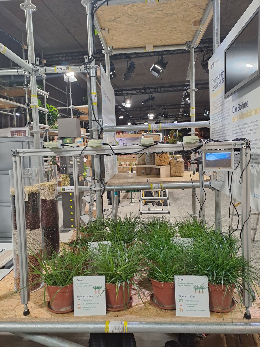 Reah Gonzales tweet media