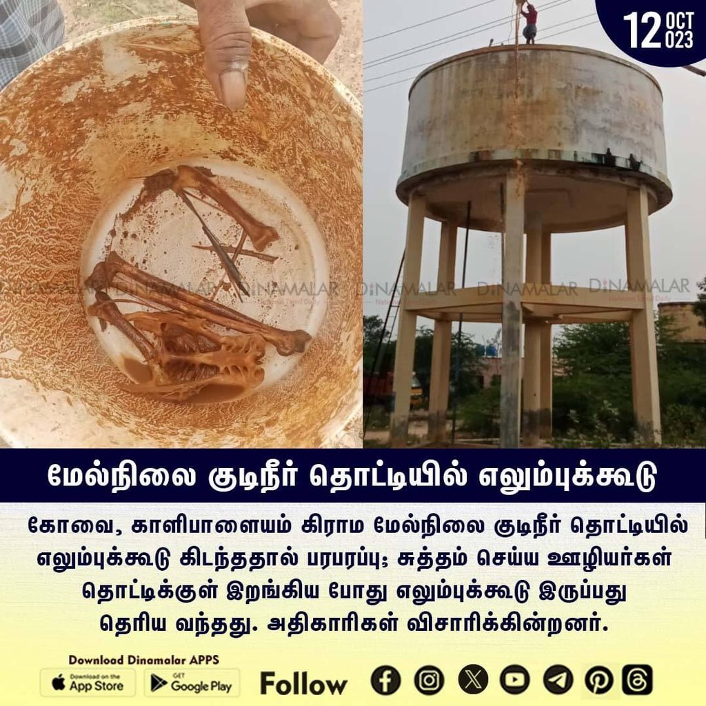 dinamalarweb's tweet photo. மேல்நிலை குடிநீர் தொட்டியில் எலும்புக்கூடு
#drinkingtank|#Skeleton
https://t.co/y4W3uzOWeZ https://t.co/GUTPslFecy