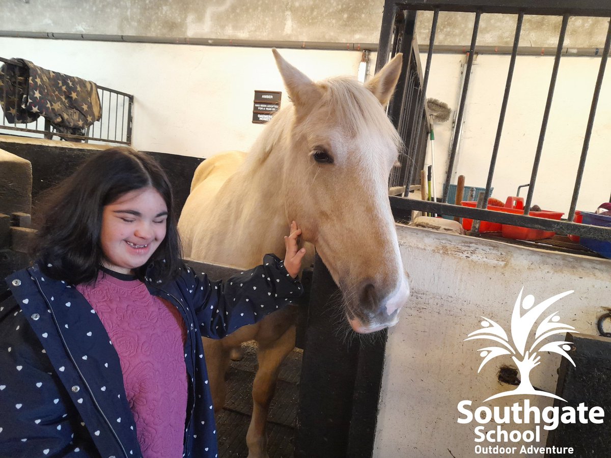 southgateHD5's tweet photo. Meeting our horses before our riding starts at the stables! π΄ #Horses #CanDoCalvert #HorseRiding #GetOutSide #AdventureTime #LakeDistrict #OutdoorClassroom @CalvertLakes @lakedistrictnpa @LearningAway @KirkleesCouncil @IOLOutdoorProfs @tes @HorseAndCountry @HorseandRiderUK https://t.co/5NapMXKrKE