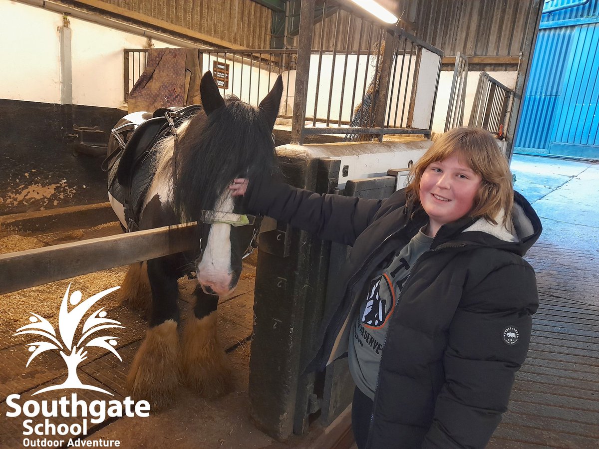 southgateHD5's tweet photo. Meeting our horses before our riding starts at the stables! π΄ #Horses #CanDoCalvert #HorseRiding #GetOutSide #AdventureTime #LakeDistrict #OutdoorClassroom @CalvertLakes @lakedistrictnpa @LearningAway @KirkleesCouncil @IOLOutdoorProfs @tes @HorseAndCountry @HorseandRiderUK https://t.co/5NapMXKrKE