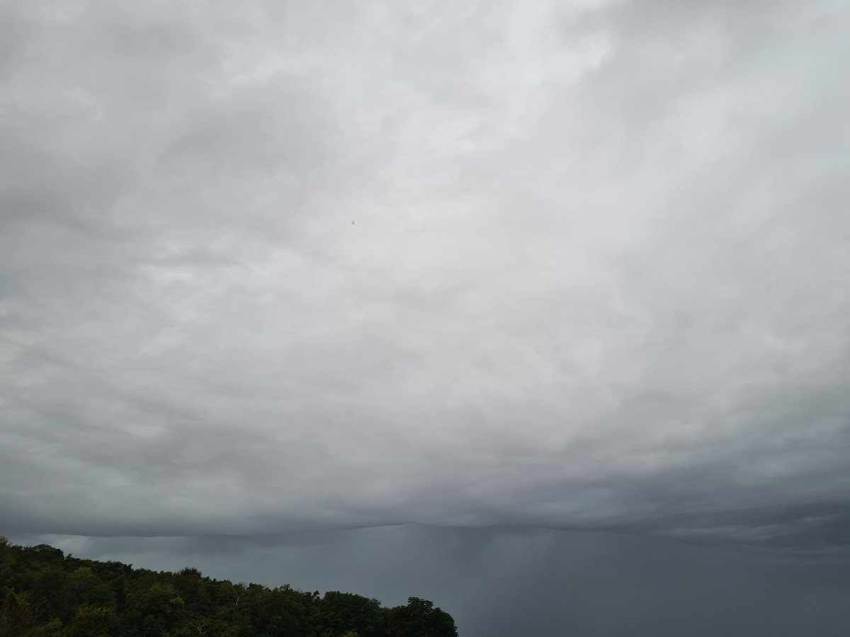 benoit51390's tweet photo. [Point La météo est formidable ou presque]
La pluie arrive au bon moment pour venir réhumidifier les sols afin que les #CouvertsVégétaux🌱🌾🌿🌵☘️🌴 germent.
Mais un peu trop tôt pour me laisser le temps de fignoler les réglages des #Valmatic à plat de @Boisselet_sas.

#Champagne https://t.co/cGcg0Mq8Wt