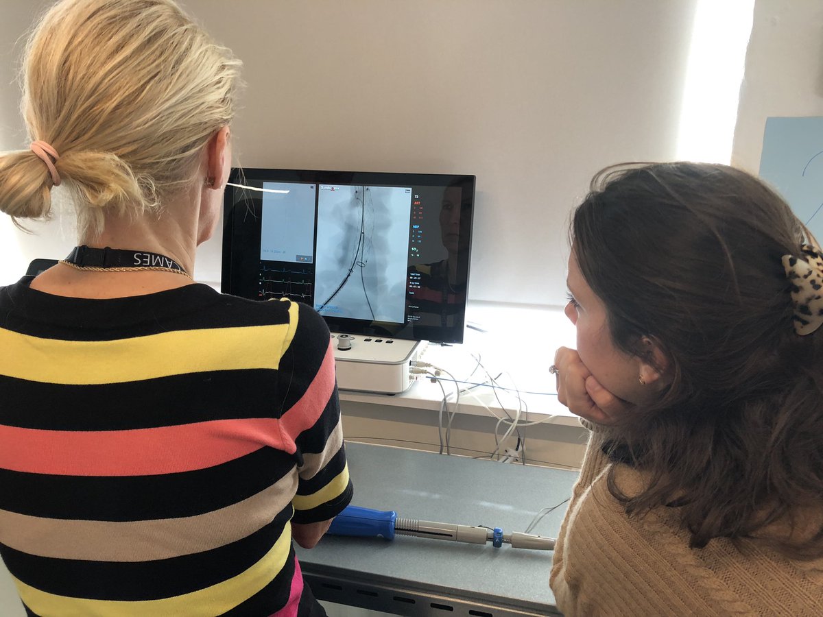 12 participants are learning standard EVAR these days in Copenhagen at the ENHANCE EVAR programme. So great to hear all the discussions going on. Everyone is really enhancing their skills 🙌 <a href="/ESVSmembership/">ESVS</a> <a href="/CamesResearch/">CAMES_Research</a>