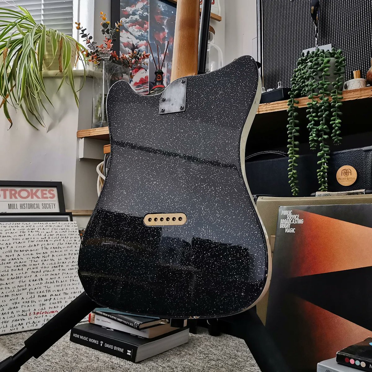 Fidelity Guitars tweet media