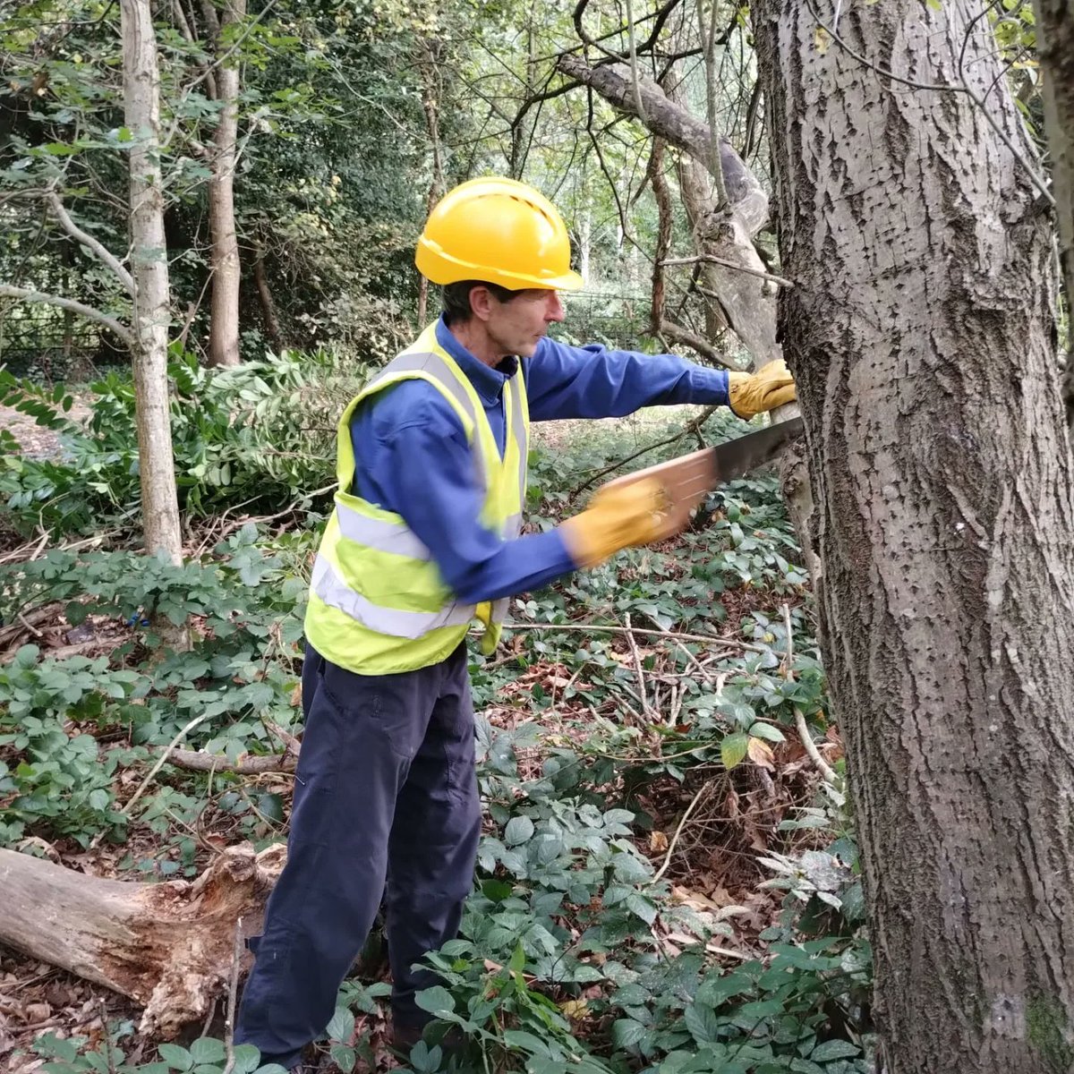 Sustainable Life tweet media