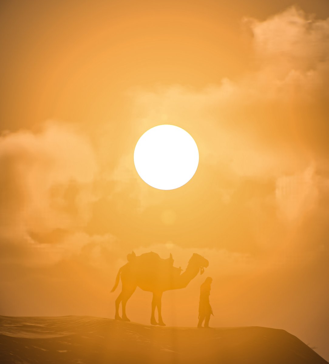 Karavanserai🔹 
#AssassinsCreedMirage  

#ACPhotoMode #VirtualPhotography #GamerGram #VGPUnite #ArtisticofSociety #VPgamers #VPEclipse #ACMirage #AssassinsCreed  #PhotoMode #WorldofVP #Ubisoft #ACVP