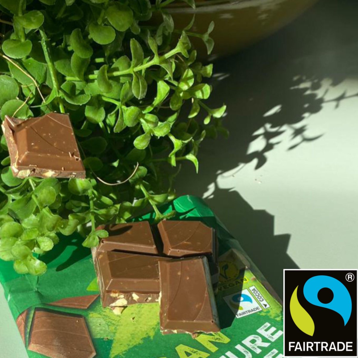 Reilu kappa vaikuttaa kaakaon kasvatukseen ja suklaan valmistukseen muun muassa hillitsemällä metsäkatoa. Kaakaota on perinteisesti viljelty kaskeamalla, ja sademetsää hakataan pois kaakaopuiden tieltä. Reilu kauppa välttää tätä esimerkiksi peltometsäviljelyllä.
1/2