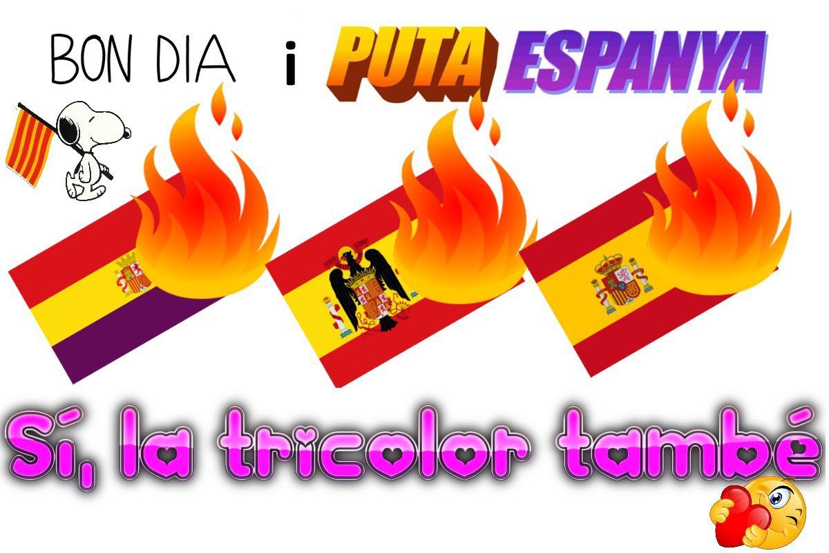 Pol Molina i Grífols tweet media