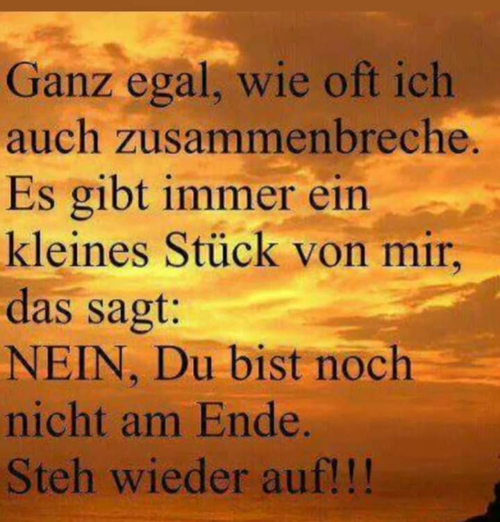 Raffaela Erika Fuchsbichler🏳️‍🌈🇦🇹 (@raffaelafuchsb2) on Twitter photo 