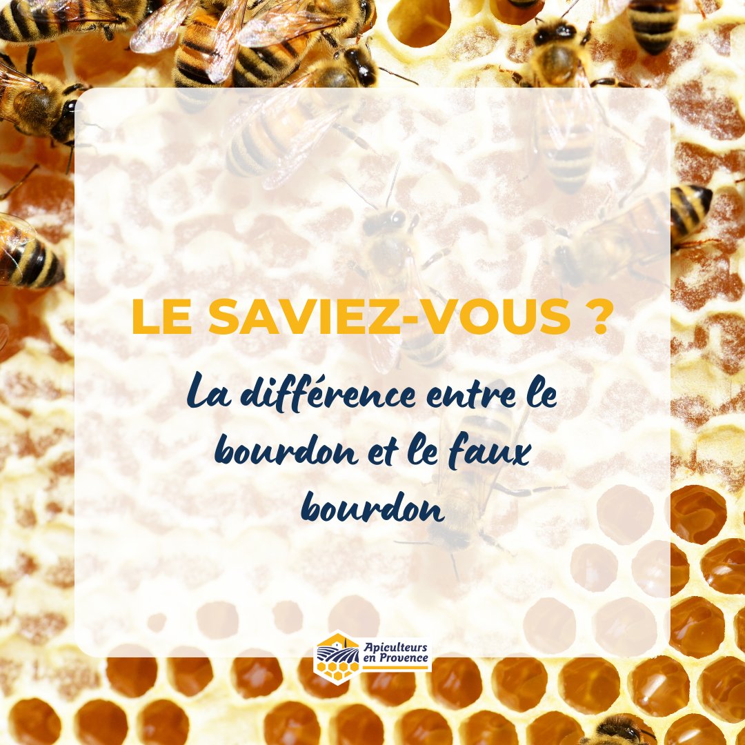 Apiculteurs en Provence tweet media