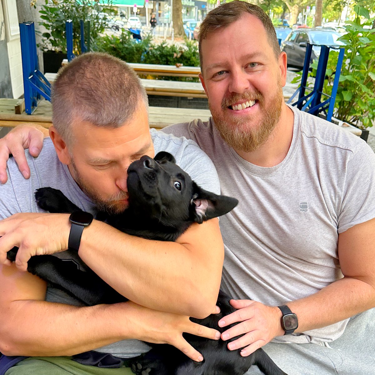 Puppy kisses all around 😘😘🥰. Cooper has settled brilliantly with his 2 Daddies. #puppy #pupdaddies #daddies #puppycuddles