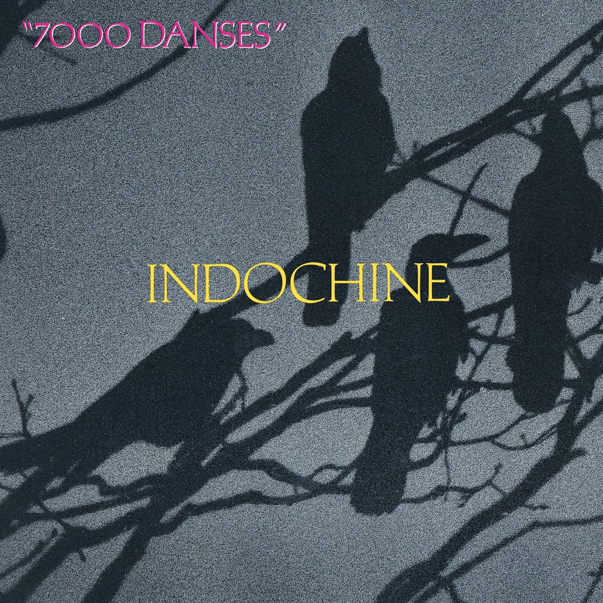 Indochine tweet media