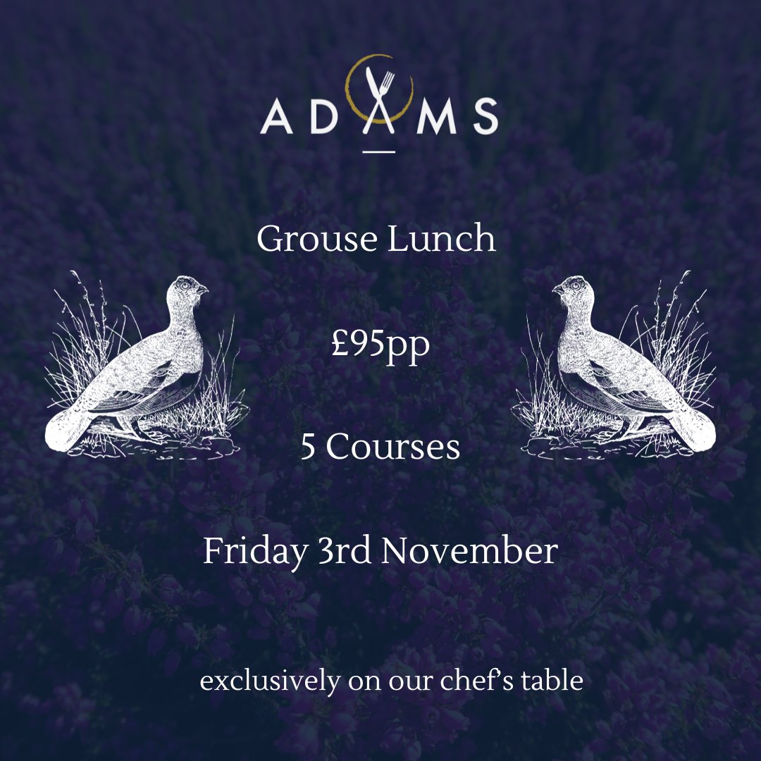 RestaurantAdams's tweet photo. Starting off a series of one off special lunches, we're opening up our chef's table for a celebration of grouse. A 5 course menu with grouse main course exclusively for a maximum of 12 people. Full details and reservations are available through the website now. https://t.co/w15MFMKAVJ