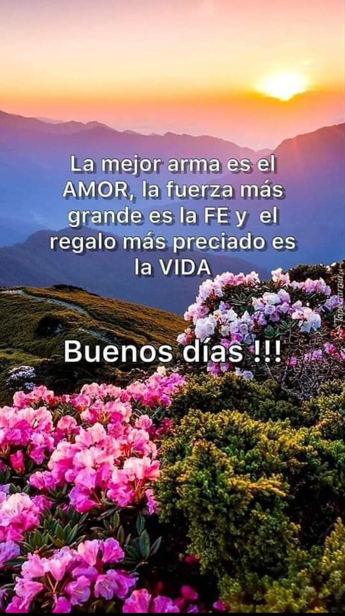 𝐩𝐲_𝑯𝒖𝒈𝒐 (@victorr74650566) on Twitter photo 