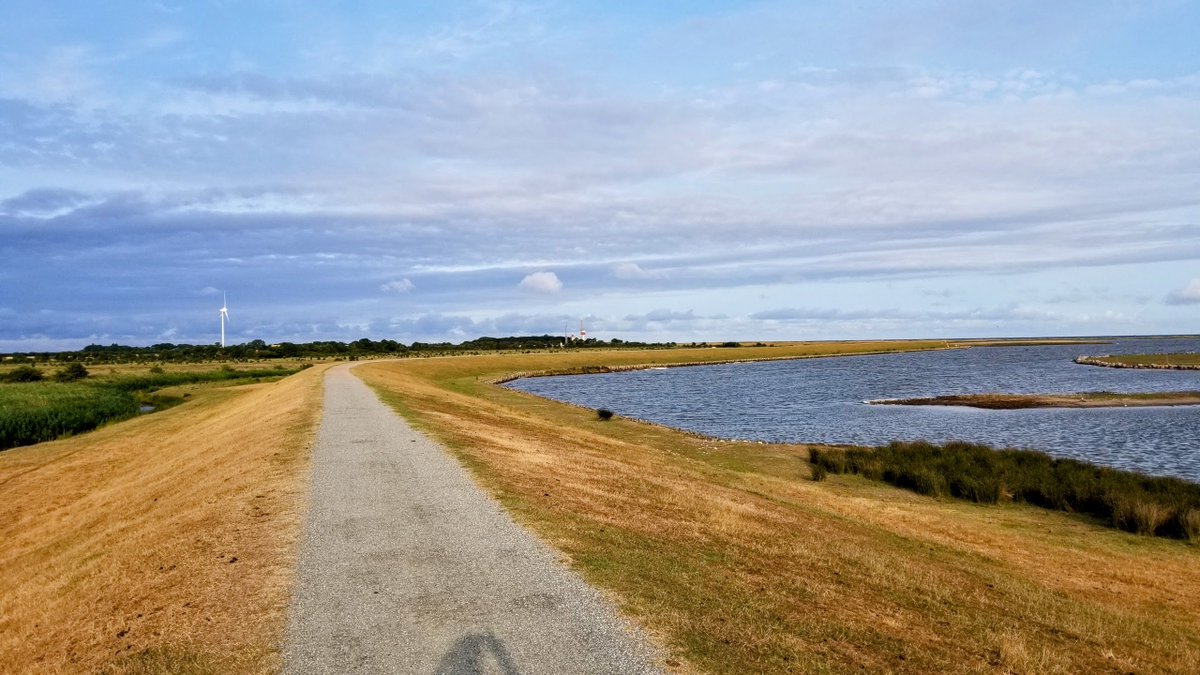 Impressionen von Fehmarn... 
 #Fehmarn #Ostsee #Insel #Ferien #Urlaub #ostseeliebe #küstenliebe #balticsea #meerliebe #schleswigholstein #strand #meerweh #ostseeurlaub #reiselust #ostseekult 
natuerlichfehmarn.de