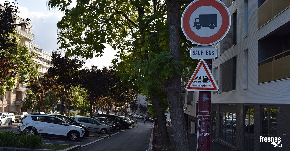 fresnes_94's tweet image. Des panneaux ont été placés dans notre Ville afin prendre soin du hérisson, une espèce protégée. Ces panneaux sensibilisent et indiquent aux automobilistes, le risque de croiser cette petite bête vulnérable sur la route ! ⚠️ 🦔

#fresnes94 #fresnes #maville #hérisson #protection