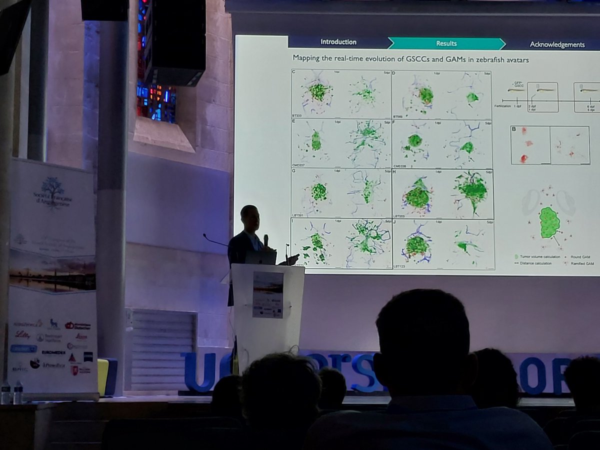 ThomasMathivet's tweet photo. Day2 of the French Society of Angiogenesis meeting in Bordeaux (@sf_angiogenese): time for the the tumor biology session, starting with the insightful presentation of @holger_gerhardt https://t.co/7dYnnUXMCn