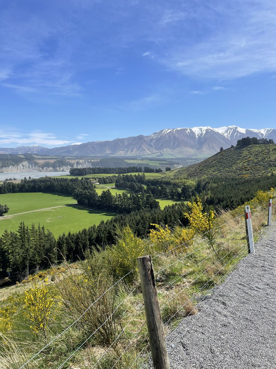 Dairy cows and rugby make up 99% of the conversation this week! #NZ