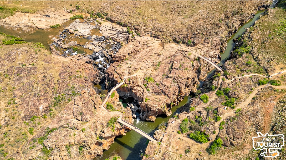 Mark Sham tweet media