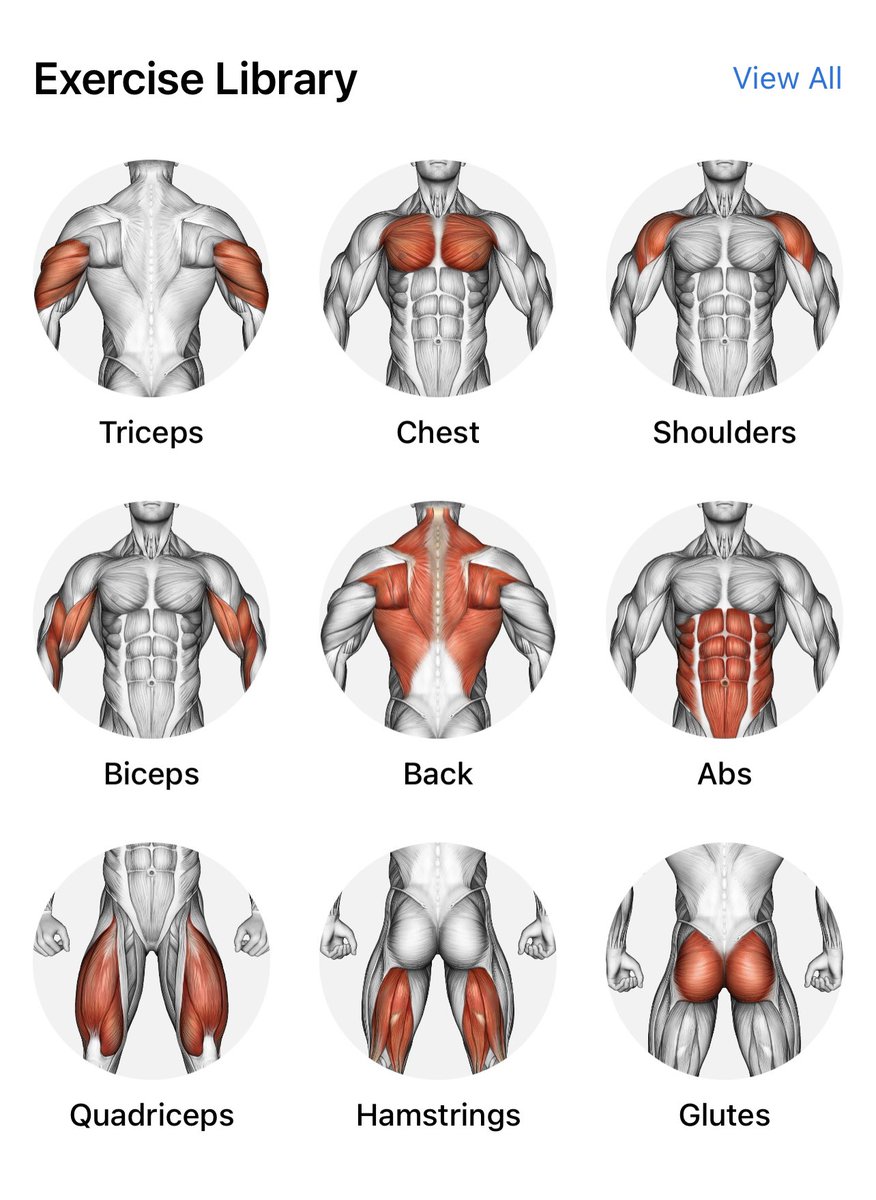 RllllV_'s tweet photo. تطبيق Lyfta🏋🏻‍♀️
• هو تطبيق تسجلون فيه التمارين + الاوزان + الجولات
• فيه جداول جاهزه للي عندهم مشاكل في نظامهم الرياضي ممكن يستفيدو من الجداول الموجودة
• كمان تقدروا تاخذوا نظره على جداول الناس 
• او تختاروا العضلة و التمرين اللي يناسبكم وتضيفوه لجدولكم https://t.co/99mffYlIqt