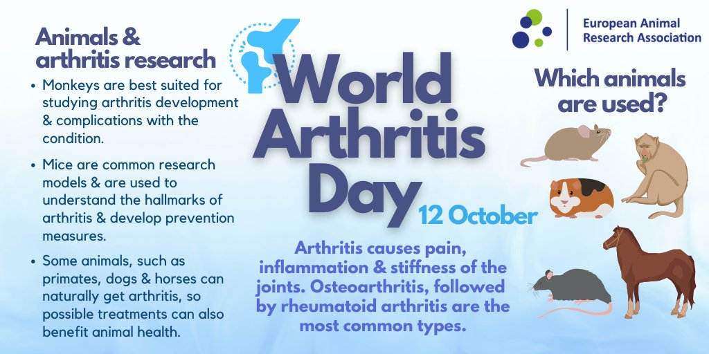 What role has #AnimalResearch played in the study & treatment of #arthritis?

#WorldArthritisDay