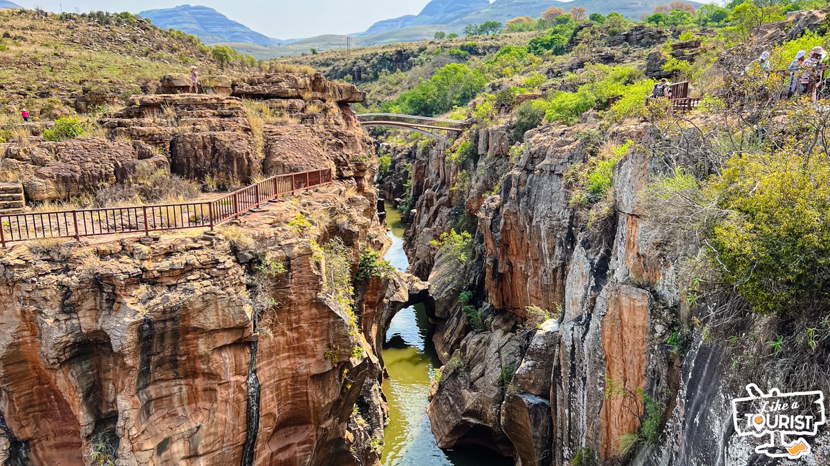 Mark Sham tweet media