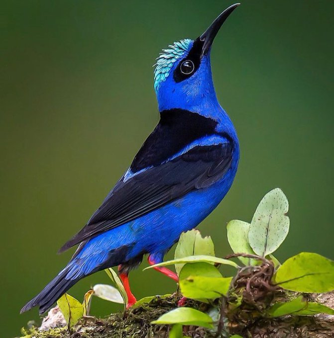 F8OoiqGbcAAEWqI?format=jpg&name=small