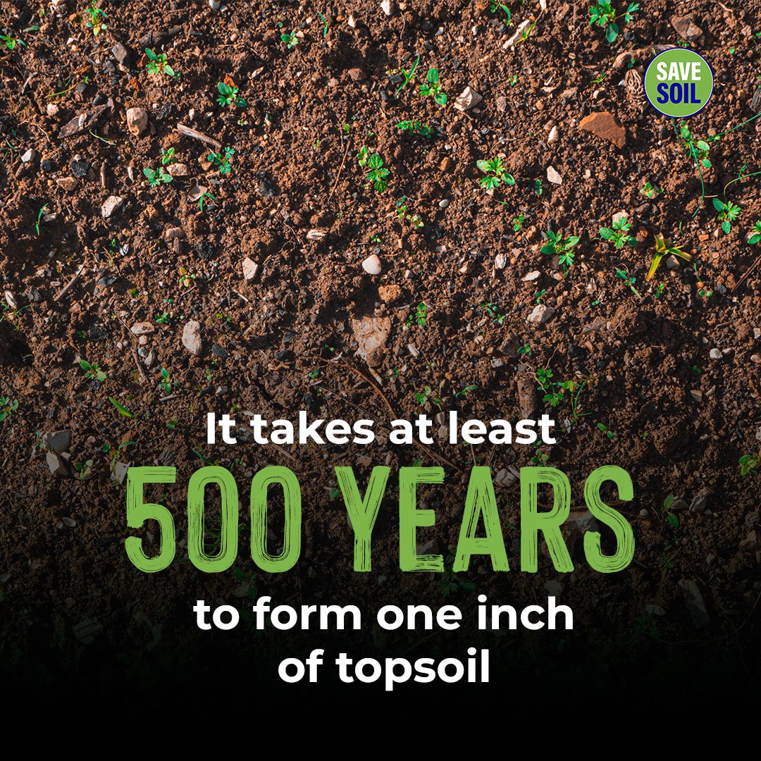 Conscious Planet #SaveSoil tweet media