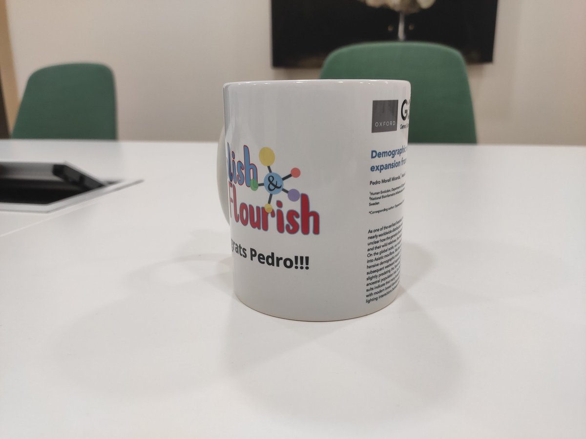 Torsten Günther tweet media