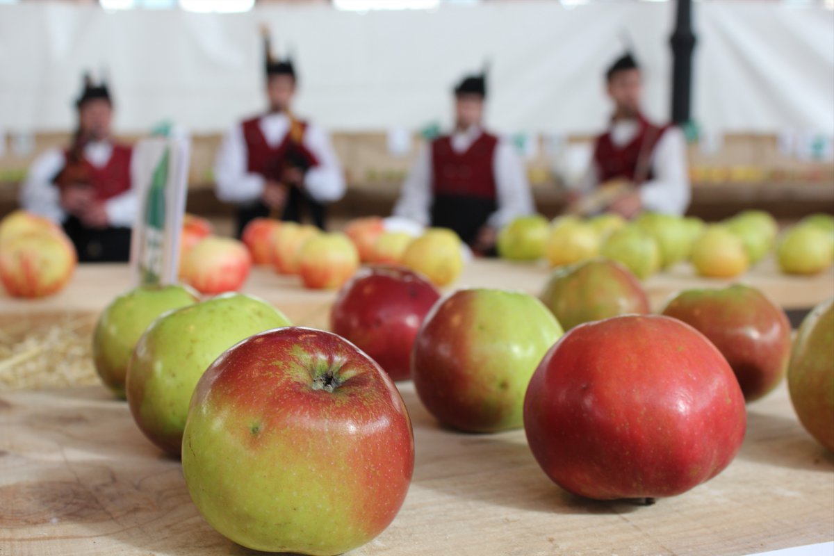 #Villaviciosa hace honor a su título de Capital Manzanera de #España 🍎 con la celebración del Festival de la Manzana‼️
🍏Catas🍁Mercado🍎Exposiciones
🧒Talleres infantiles🏃‍♀️Carrera Solidaria
Visitas guiadas y
 mucho más... festivaldelamanzana.es
#ComarcadelaSidra #Asturias