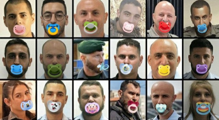 ashish99007's tweet photo. @RyLiberty here's some babies out of 40..🙂 https://t.co/3SuinsUzRr