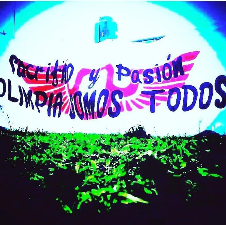dequ81's tweet photo. Así siempre Sacrificio y Pasión
Defensa, defensa,defensa.
Así lo vamos a ganar hoy con defensa y más defensaaa!!!
💪🏼⚪️🔴
#elOlimpiadeColón
#OLIMPIASOMOSTODOS https://t.co/40GUGtQNn8