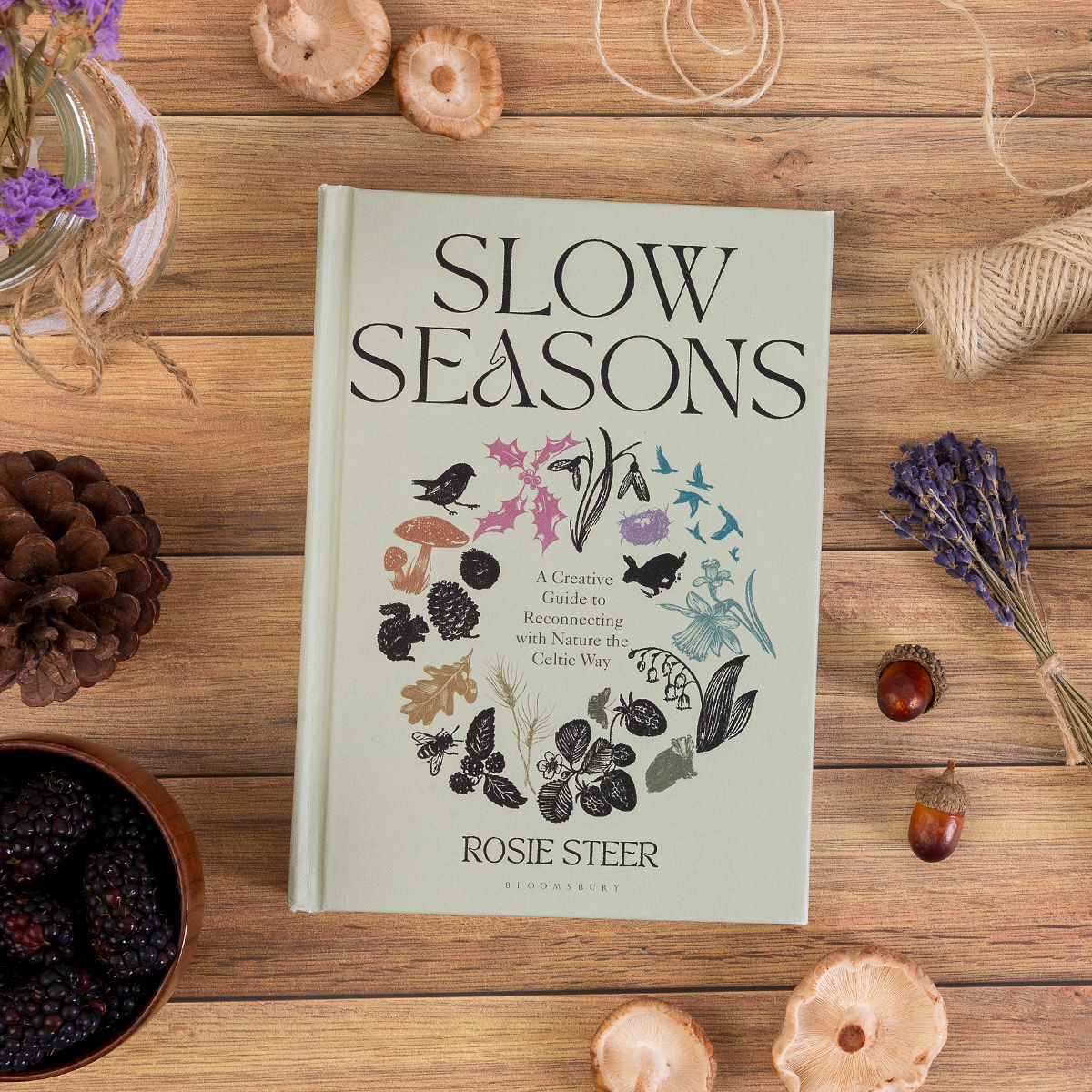 🍂 Slow Seasons – <a href="/LooksRosie/">Rosie Steer</a>

'A truly beautiful book. Rosie's writing makes me want to close my laptop, step outside, and appreciate the magic that each season brings' Jessica Elliot Dennison

Read more: bloomsbury.com/uk/slow-season…