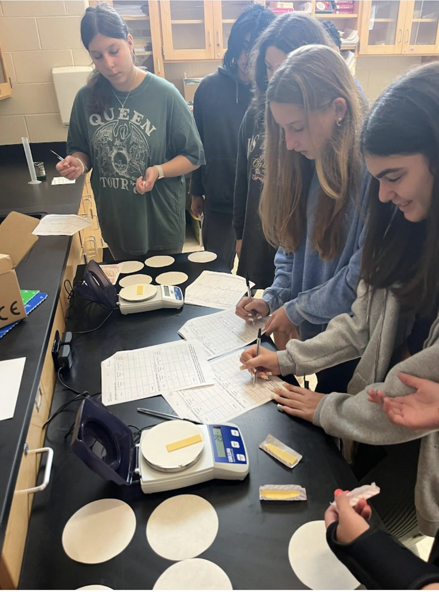 Cristie Tursi tweet media