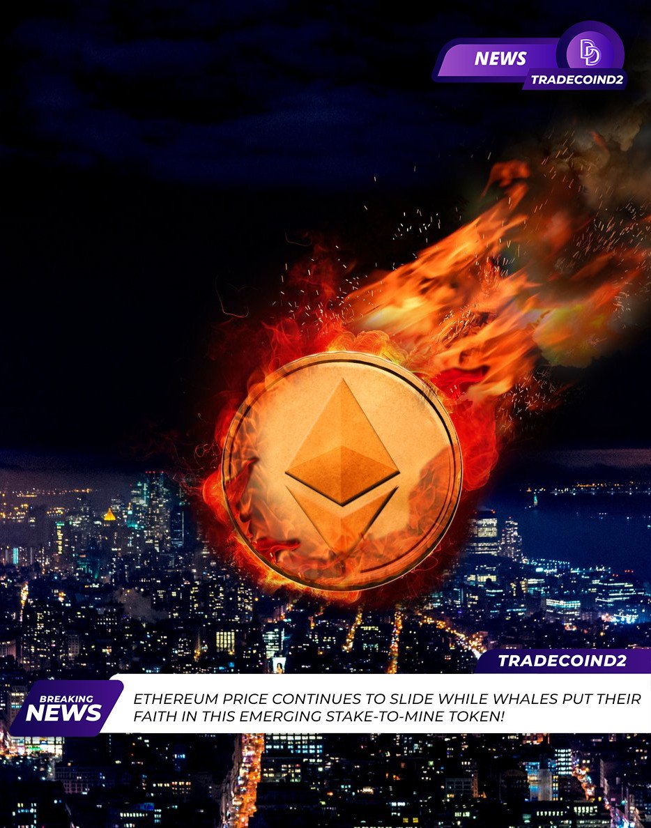TradeCoinD2's tweet photo. Crypto News 
Trade Coin D2 10/12/23 $BTC 26.820/ $ETH 1.560

@TradeCoinD2

@CryptoNewsD2

@QuestD2Earn 

Ethereum price continues to slide while whales put their faith in this emerging Stake-to-Mine token.

#TradeCoin #CryptoNews #Crypto #TradeCoinD2