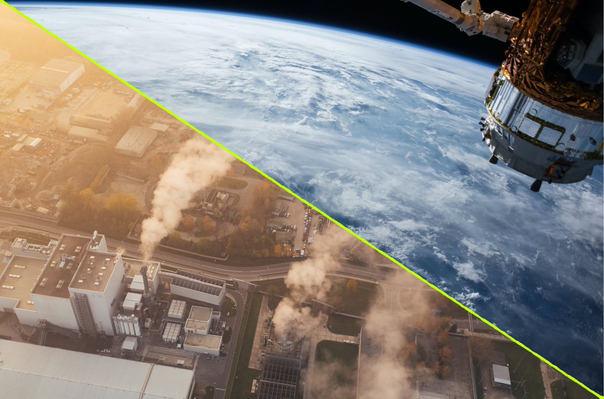 Judith Wolst tweet media