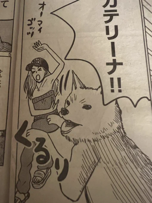 現在発売中のゲッサン11月号に「笹塚高校コスメ部」最新第29話掲載されております。 よろしくお願いします。 犬も描きました。