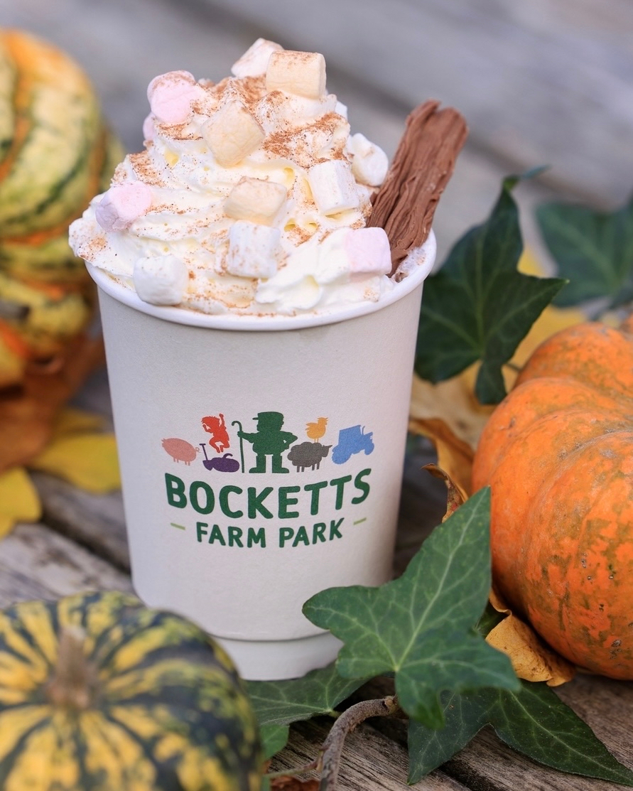 Bocketts Farm Park tweet media