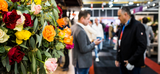 Floriday_io tweet media