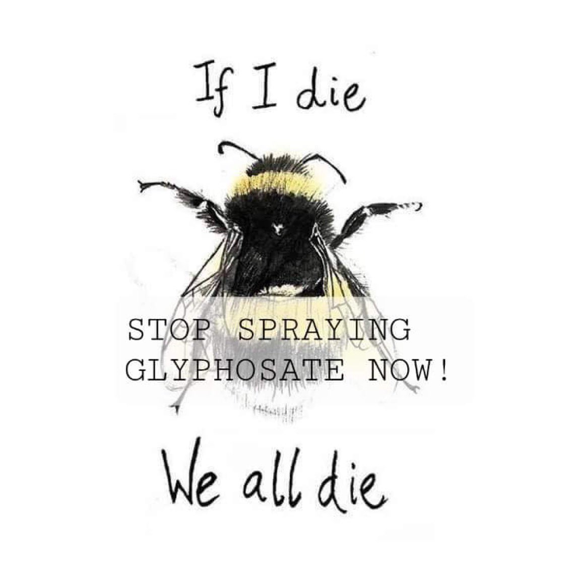Are you fed up with Glyphosate being sprayed across our streets?
Join a demonstration tonight  - Thursday 12th October - outside TDC offices 

#glyphosate #thanet #tdc #pesticide #kent #pesticidefree 

facebook.com/events/s/stop-…