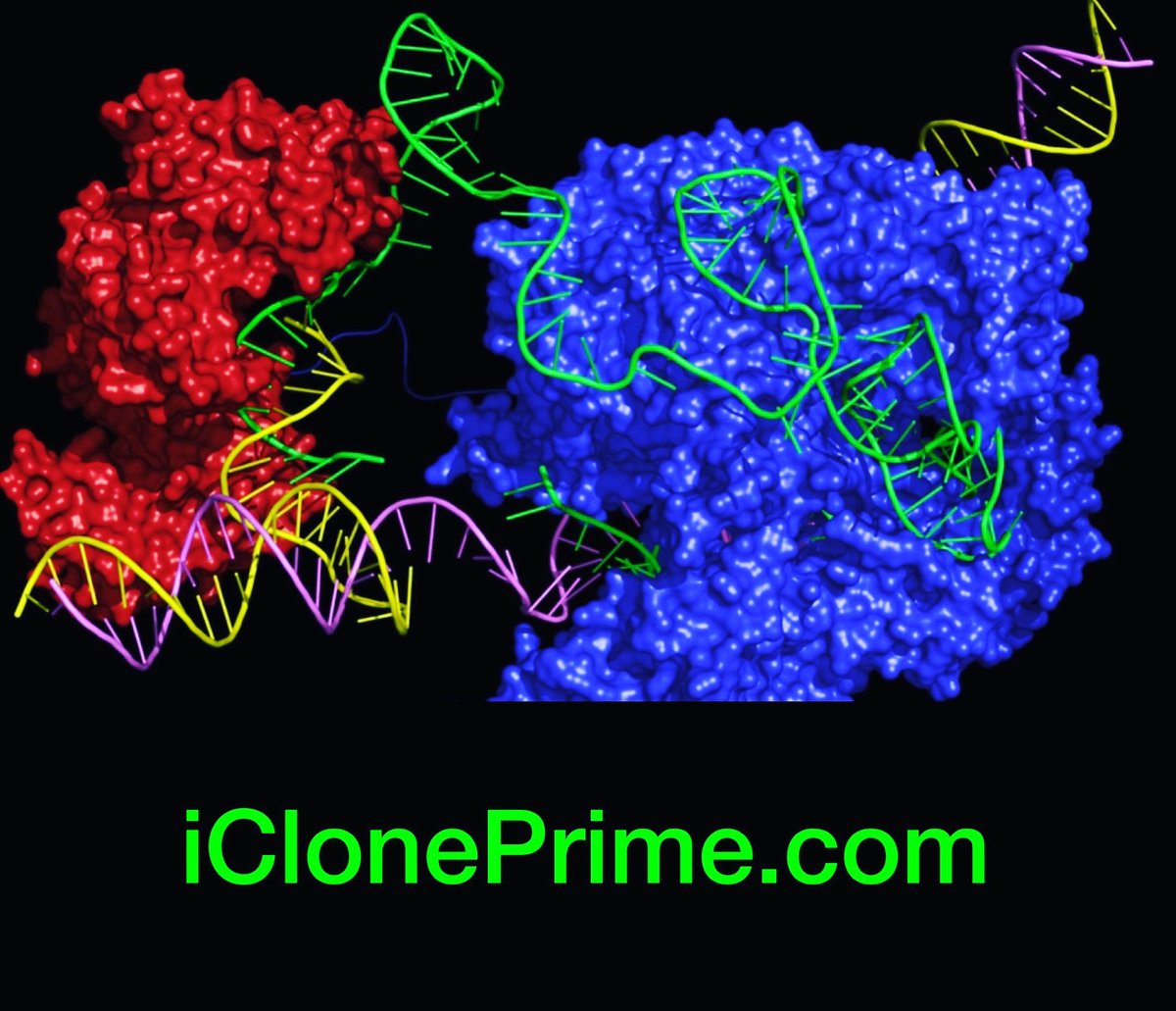 #artificalintelligence #ChatGPT #cloning #FutureTech #dna #humanity #biotechnology #biotech #genetics #genome #medicalstudent #Health #primeediting
#futurehumans #Medical #medicalresearch #crispr 
#stemcells #stem #NewsUpdate #medicaleducation