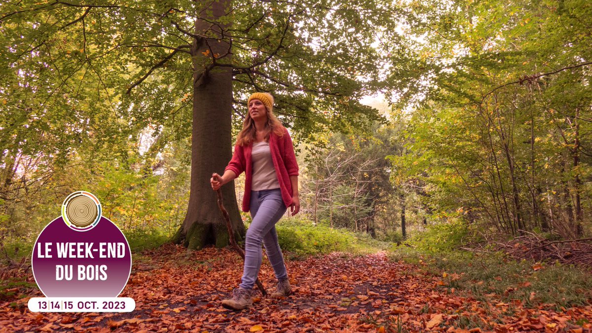 Le Week-End du Bois approche à grands pas ! Ces samedi et dimanche, vous pourrez profiter d'activités uniques liées à la filière bois et aux forêts...

Envie d'y participer ? Découvrez le programme région par région, et pensez surtout à vous inscrire👉  leweekenddubois.com/programme-acti…