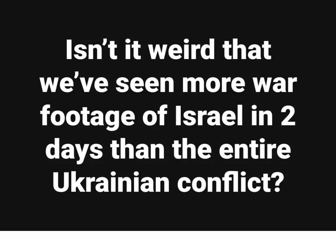 Ephraim the Dog tweet media