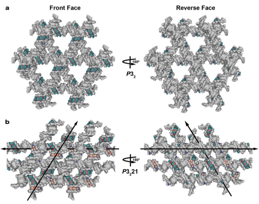 Site-specific arrangement and structure determination of minor groove binding molecules in self-assembled three-dimensional DNA crystals biorxiv.org/content/10.110…
