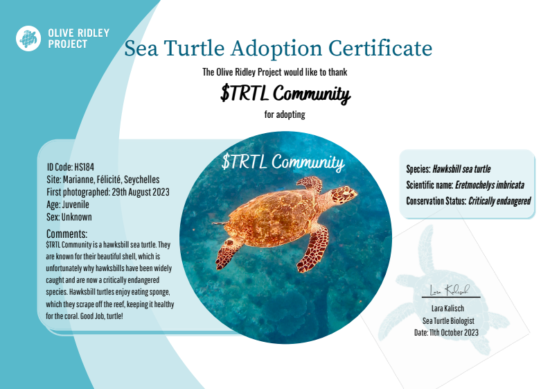TortolToken's tweet photo. LFGGGGGGGG
Shoutout to $TRTL COMMUNITY https://t.co/uSqok0GtPn