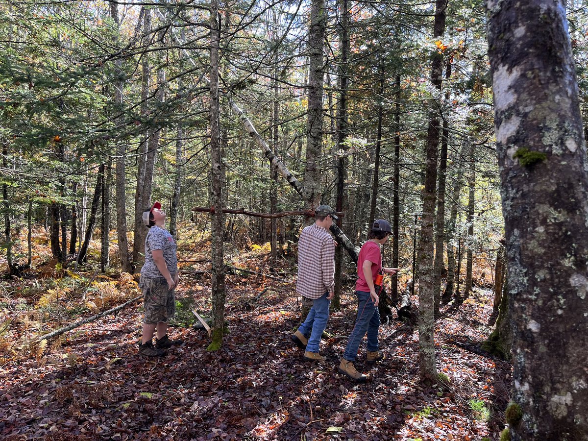 Hebbville Academy tweet media