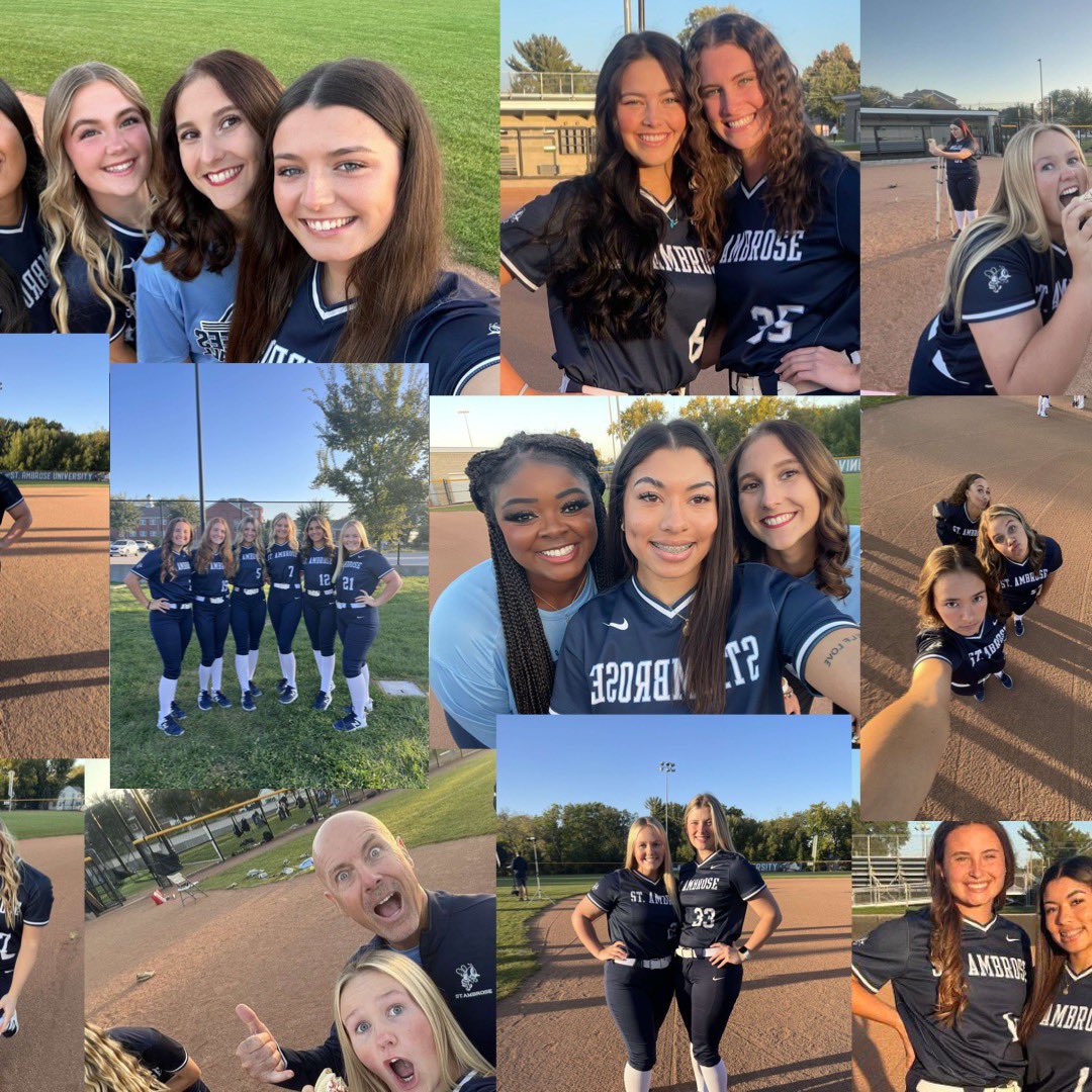 St. Ambrose University Fighting Bees Softball tweet media