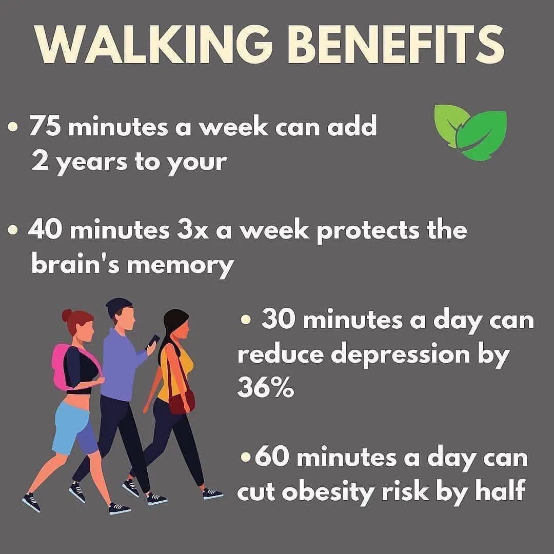 braiderprocoach's tweet photo. Benefits of Walking https://t.co/GV0BgigX48